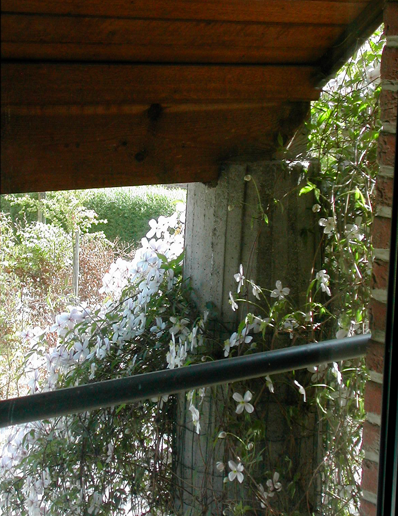 Photo d'un auvent en béton avec toiture en bois